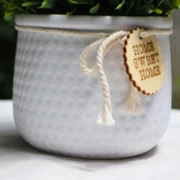 Suculenta Decorativa C/maceta FLORENTINA - Imagen 2