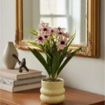 Margarita Decorativa c/ Maceta RITA