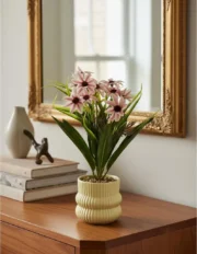 Margarita Decorativa c/ Maceta RITA