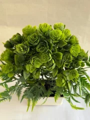 Suculenta Decorativa con Maceta NERA - Imagen 2