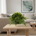 Suculenta Decorativa con Maceta NERA