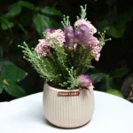 Hortencia Decorativa con Maceta AURELIA