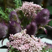 Hortencia Decorativa con Maceta AURELIA - Imagen 2