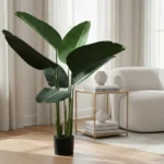 Ave de Paraiso Decorativa AVA