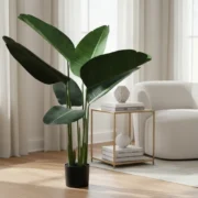 Ave de Paraiso Decorativa AVA