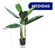 Ave de Paraiso Decorativa AVA - Imagen 2