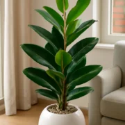 Ficus Decorativo c/Maceta HERA - Imagen 2