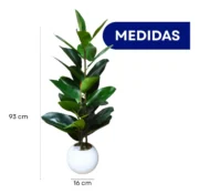 Ficus Decorativo c/Maceta HERA - Imagen 4