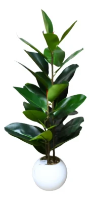 Ficus Decorativo c/Maceta HERA