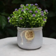 Set Estante Decorativo de Macrame y Suculenta Decorativa - Imagen 2