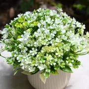 Suculenta con Flores Decorativa C/maceta De Yeso SOLEA