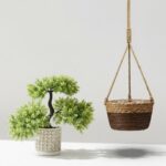 Set Porta Maceta de Yute y Bonsai Decorativo