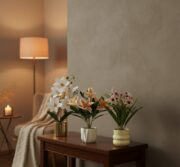 Set 3 Plantas Decorativas