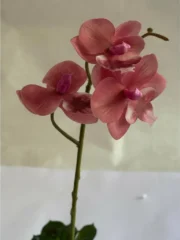 Lirio Rosa Decorativo IRIS - Imagen 2