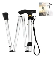 Baston Extensible NANAMI