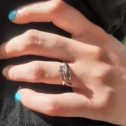 Alianzas MILAN - Imagen 3